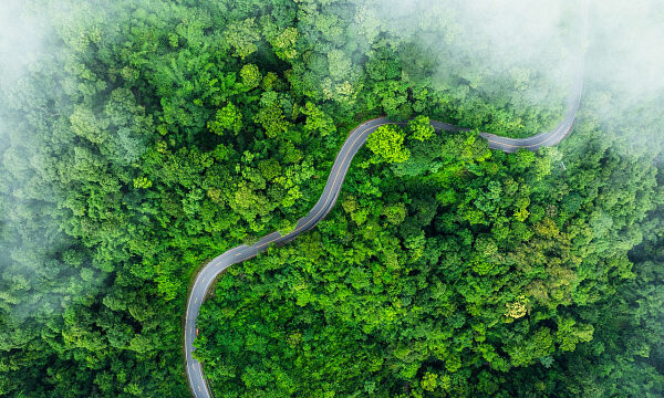 Agencia ambiental en Emiratos Árabes Unidos repite recibimiento de certificación de neutralidad de carbono