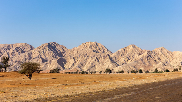 Hallazgo arqueológico en los Emiratos Árabes Unidos revela antigua ocupación humana en Sharjah