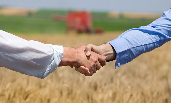 Bielorrusia y Emiratos Árabes Unidos impulsan cooperación agroindustrial con nuevos proyectos conjuntos