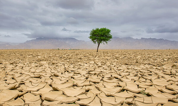 Egipto y México debaten sobre cooperación ambiental para abordar las consecuencias de la desertificación y el cambio climático