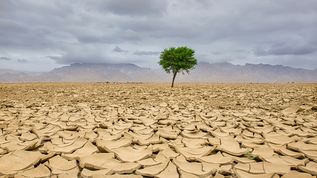 Egipto y México debaten sobre cooperación ambiental para abordar las consecuencias de la desertificación y el cambio climático