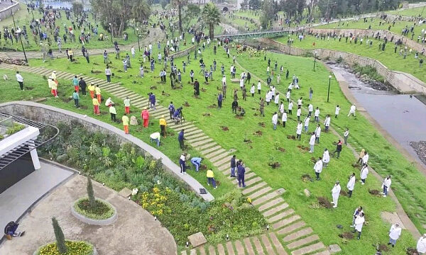 Etiopía planta más de 100 millones de plántulas en un día