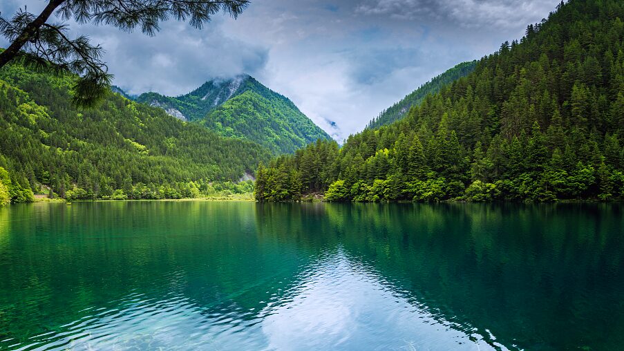 China impulsa desarrollo verde bajo el concepto de “Dos Montañas”