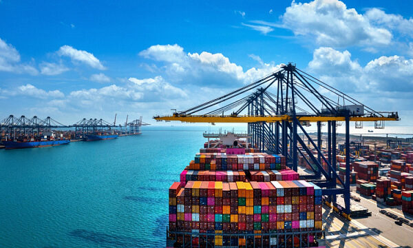 Comercio entre Egipto y los Emiratos Árabes Unidos aumentó más del doble en 2025 Comercio entre Egipto y los Emiratos Árabes Unidos aumentó más del doble en 2025