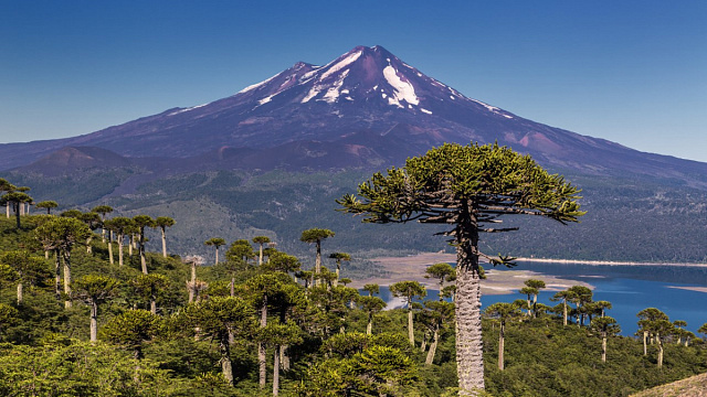 Chile será sede de la conferencia internacional de Geoparques Mundiales de la UNESCO