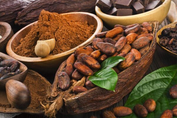 Venezuela | Venezuela prevé exportar 150 toneladas de cacao a Rusia a finales de agosto