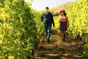 Provincia chilena de Melipilla impulsa rutas turísticas rurales para diversificar su economía y atraer visitantes