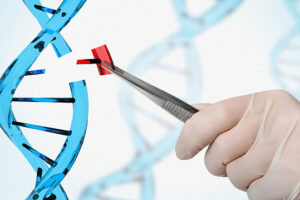 Investigadores chilenos logran frenar el cáncer de ovario en laboratorio