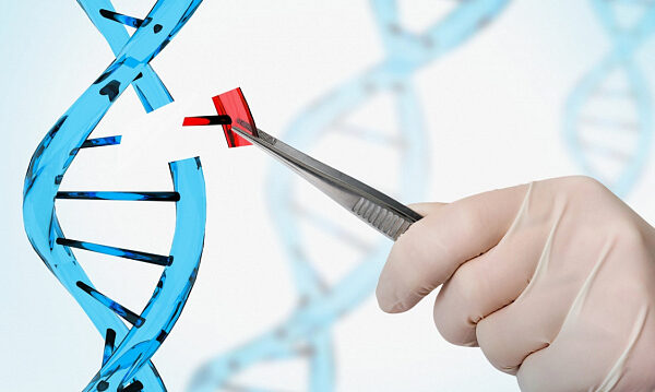 Investigadores chilenos logran frenar el cáncer de ovario en laboratorio