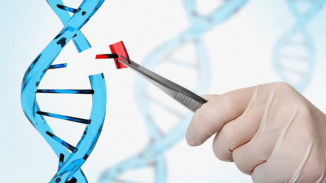 Investigadores chilenos logran frenar el cáncer de ovario en laboratorio