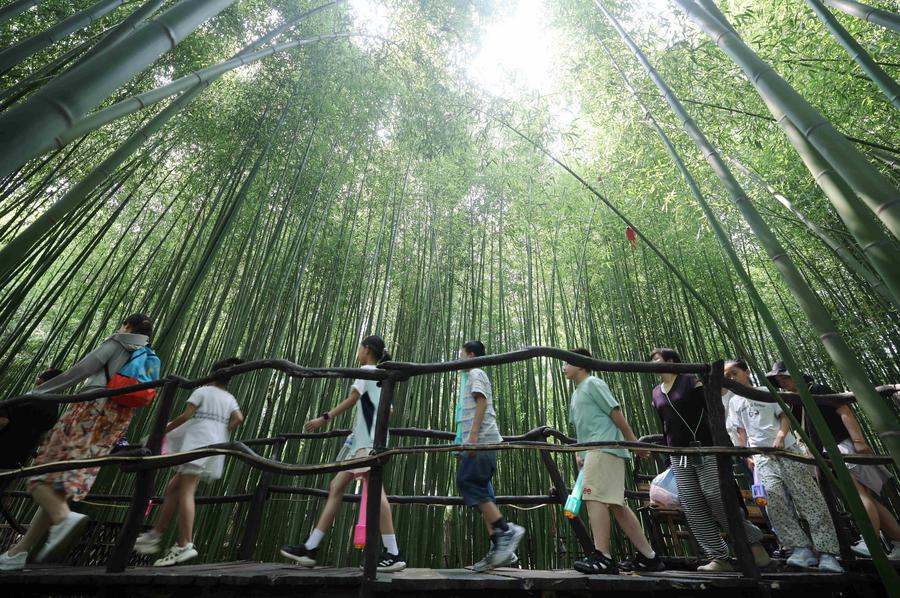 China | 
                    () China anuncia medidas financieras para impulsar desarrollo forestal
