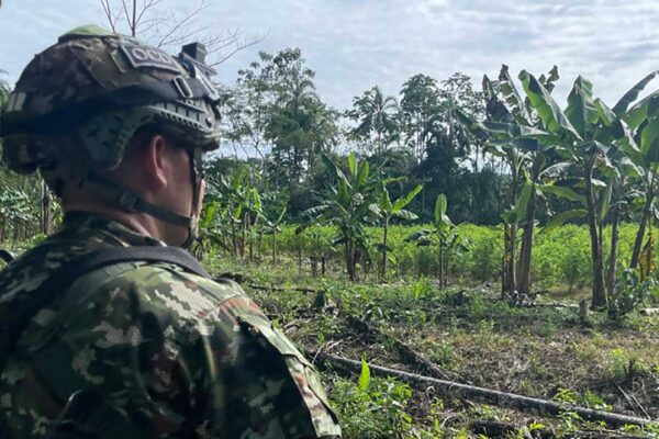 Colombia | El timonazo en la política de drogas