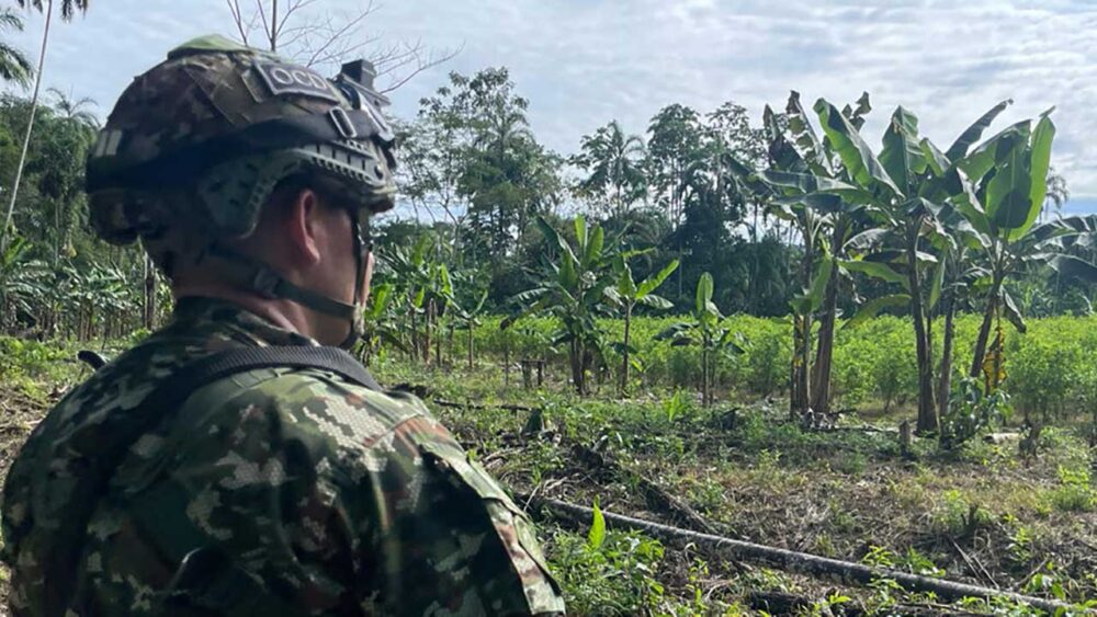 Colombia | El timonazo en la política de drogas