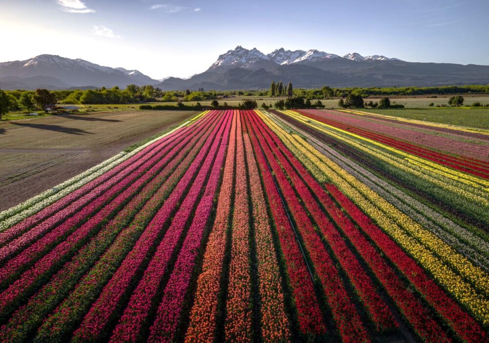 Argentina | Sep 1, 2025Escapadas de primavera: vuela y descubre Argentina en su mejor versión