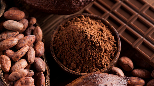Región venezolana impulsa siembra de cacao con 8.000 plantulas