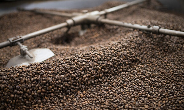 Auge del café etíope impulsa ingresos y transforma la economía