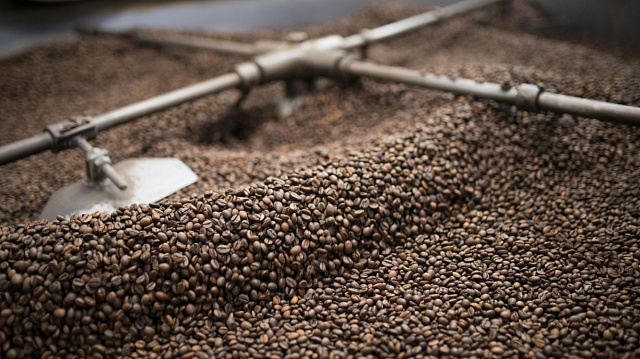 Auge del café etíope impulsa ingresos y transforma la economía