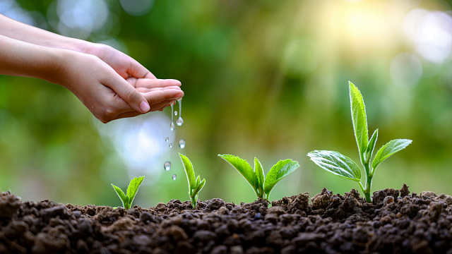 Representante de la FAO resalta iniciática “Legado Verde” de Etiopía como modelo frente al cambio climático